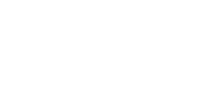 NISSI ASSURANCES